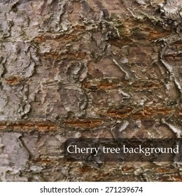 Wood texture. Cherry tree background. Vector illustration