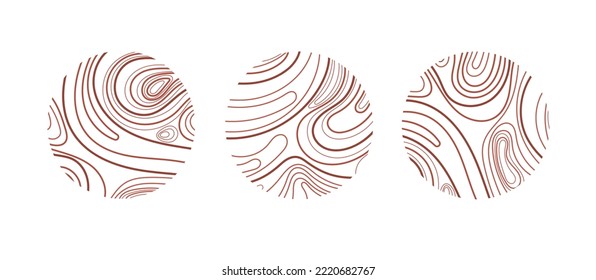 Conjunto de círculo de textura de madera. Líneas de contorno topográfico. Anillos de árbol gráfico abstractos vectoriales. Símbolo geográfico