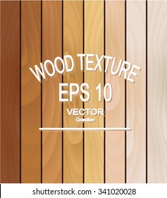 Wood texture collection background - Vector