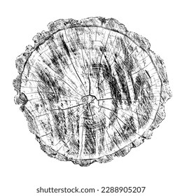 Wood texture cross section of tree rings. Cut slice of wooden stump isolated on white. Textured surface with rings and cracks. Black background made of hardwood from the forest. Vector illustration.