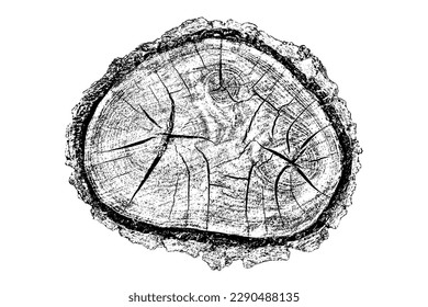 Textura de madera con problemas sobre fondo blanco. Los anillos de los árboles de sección transversal cortan la rebanada. Elementos de diseño de madera redonda. Ilustración del vector, EPS 10.
