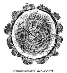 Textura de madera con problemas sobre fondo blanco. Los anillos de los árboles de sección transversal cortan la rebanada. Elementos de diseño de madera redonda. Ilustración del vector, EPS 10.