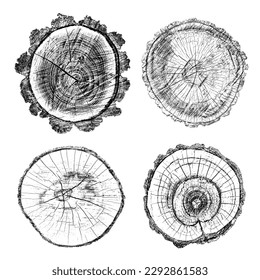 Conjunto de textura de madera en peligro sobre fondo blanco. Los anillos de los árboles de sección transversal cortan la rebanada. Elementos de diseño de madera redonda. Ilustración del vector, EPS 10.
