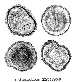 Wood texture cross section of tree rings. Cut slice of wooden stump isolated on white. Textured surface with rings and cracks. Black background made of hardwood from the forest. Vector illustration.