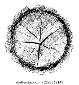 Wood texture cross section of tree rings. Cut slice of wooden stump isolated on white. Textured surface with rings and cracks. Black background made of hardwood from the forest. Vector illustration.