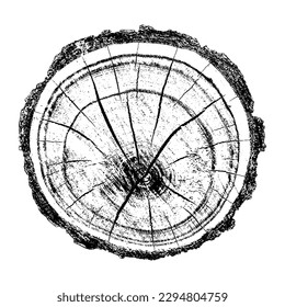 Textura de madera con problemas sobre fondo blanco. Los anillos de los árboles de sección transversal cortan la rebanada. Elementos de diseño de madera redonda. Ilustración del vector, EPS 10.
