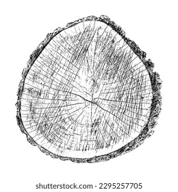 Wood texture cross section of tree rings. Cut slice of wooden stump isolated on white. Textured surface with rings and cracks. Black background made of hardwood from the forest. Vector illustration.