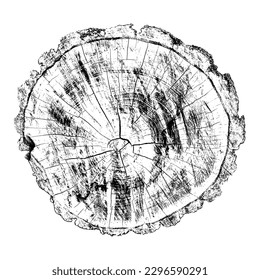 Wood texture cross section of tree rings. Cut slice of wooden stump isolated on white. Textured surface with rings and cracks. Black background made of hardwood from the forest. Vector illustration.