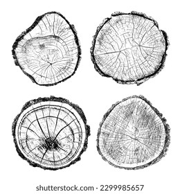 Conjunto de textura de madera en peligro sobre fondo blanco. Los anillos de los árboles de sección transversal cortan la rebanada. Elementos de diseño de madera redonda. Ilustración del vector, EPS 10.