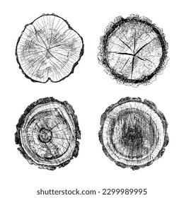 Wood texture cross section of tree rings. Cut slice of wooden stump isolated on white. Textured surface with rings and cracks. Black background made of hardwood from the forest. Vector illustration.