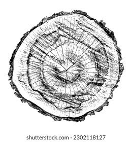 Textura de madera con problemas sobre fondo blanco. Los anillos de los árboles de sección transversal cortan la rebanada. Elementos de diseño de madera redonda. Ilustración del vector, EPS 10.