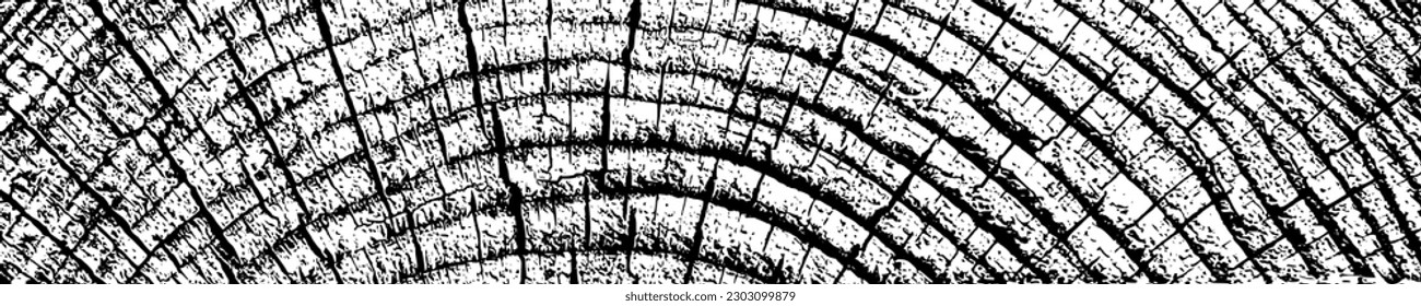 Wood texture cross section of tree rings. Cut slice of wooden stump isolated on white. Textured surface with rings and cracks. Black background made of hardwood from the forest. Vector illustration.