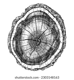 Wood texture cross section of tree rings. Cut slice of wooden stump isolated on white. Textured surface with rings and cracks. Black background made of hardwood from the forest. Vector illustration.