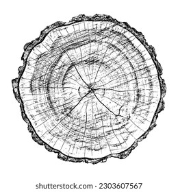 Textura de madera con problemas sobre fondo blanco. Los anillos de los árboles de sección transversal cortan la rebanada. Elementos de diseño de madera redonda. Ilustración del vector, EPS 10.