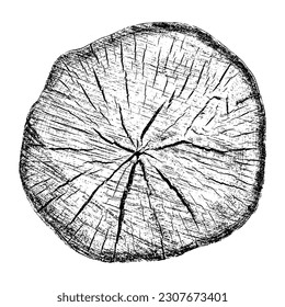 Textura de madera con problemas sobre fondo blanco. Los anillos de los árboles de sección transversal cortan la rebanada. Elementos de diseño de madera redonda. Ilustración del vector, EPS 10.