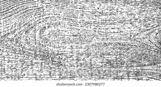 Wood texture cross section of tree rings. Cut slice of wooden stump isolated on white. Textured surface with rings and cracks. Black background made of hardwood from the forest. Vector illustration.