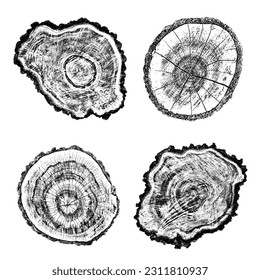 Conjunto de textura de madera en peligro sobre fondo blanco. Los anillos de los árboles de sección transversal cortan la rebanada. Elementos de diseño de madera redonda. Ilustración del vector, EPS 10.