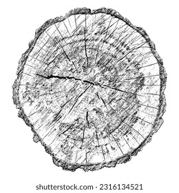 Textura de madera con problemas sobre fondo blanco. Los anillos de los árboles de sección transversal cortan la rebanada. Elementos de diseño de madera redonda. Ilustración del vector, EPS 10.