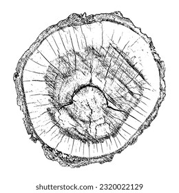 Textura de madera con problemas sobre fondo blanco. Los anillos de los árboles de sección transversal cortan la rebanada. Elementos de diseño de madera redonda. Ilustración del vector, EPS 10.