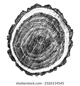 Wood texture cross section of tree rings. Cut slice of wooden stump isolated on white. Textured surface with rings and cracks. Black background made of hardwood from the forest. Vector illustration.