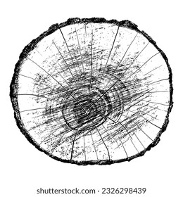 Wood texture cross section of tree rings. Cut slice of wooden stump isolated on white. Textured surface with rings and cracks. Black background made of hardwood from the forest. Vector illustration.