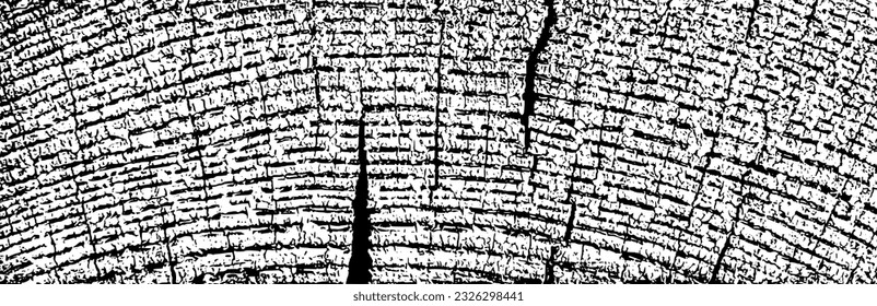 Wood texture cross section of tree rings. Cut slice of wooden stump isolated on white. Textured surface with rings and cracks. Black background made of hardwood from the forest. Vector illustration.