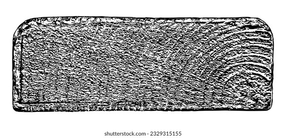 Wood texture cross section of tree rings. Cut slice of wooden stump isolated on white. Textured surface with rings and cracks. Black background made of hardwood from the forest. Vector illustration.