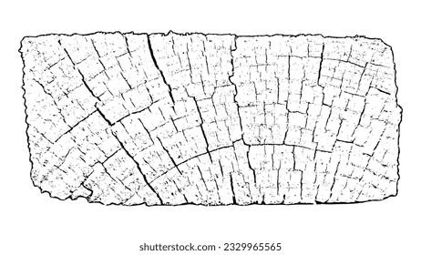 Sobrecarga de madera perturbada texturada. Los anillos de los árboles de sección transversal cortan la rebanada.  Textura negra granulada sobre fondo blanco. Elementos de diseño gruesos. Ilustración del vector, EPS 10.