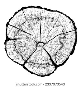 Wood texture cross section of tree rings. Cut slice of wooden stump isolated on white. Textured surface with rings and cracks. Black background made of hardwood from the forest. Vector illustration.