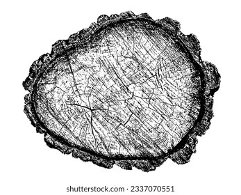 Wood texture cross section of tree rings. Cut slice of wooden stump isolated on white. Textured surface with rings and cracks. Black background made of hardwood from the forest. Vector illustration.