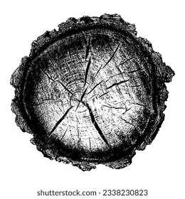 Wood texture cross section of tree rings. Cut slice of wooden stump isolated on white. Textured surface with rings and cracks. Black background made of hardwood from the forest. Vector illustration.