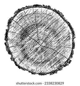 Wood texture cross section of tree rings. Cut slice of wooden stump isolated on white. Textured surface with rings and cracks. Black background made of hardwood from the forest. Vector illustration.