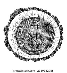 Wood texture cross section of tree rings. Cut slice of wooden stump isolated on white. Textured surface with rings and cracks. Black background made of hardwood from the forest. Vector illustration.