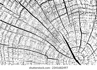 Wood texture cross section of tree rings. Cut slice of wooden stump isolated on white. Textured surface with rings and cracks. Black background made of hardwood from the forest. Vector illustration.