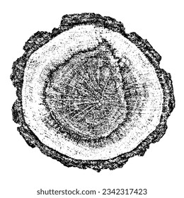 Wood texture cross section of tree rings. Cut slice of wooden stump isolated on white. Textured surface with rings and cracks. Black background made of hardwood from the forest. Vector illustration.