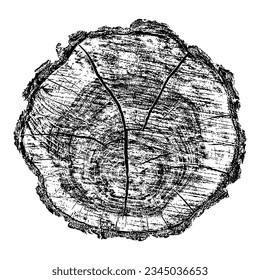 Wood texture cross section of tree rings. Cut slice of wooden stump isolated on white. Textured surface with rings and cracks. Black background made of hardwood from the forest. Vector illustration.