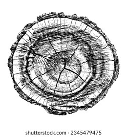 Wood texture cross section of tree rings. Cut slice of wooden stump isolated on white. Textured surface with rings and cracks. Black background made of hardwood from the forest. Vector illustration.