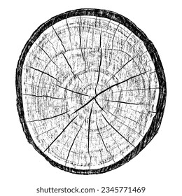 Wood texture cross section of tree rings. Cut slice of wooden stump isolated on white. Textured surface with rings and cracks. Black background made of hardwood from the forest. Vector illustration.