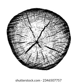 Wood texture cross section of tree rings. Cut slice of wooden stump isolated on white. Textured surface with rings and cracks. Black background made of hardwood from the forest. Vector illustration.