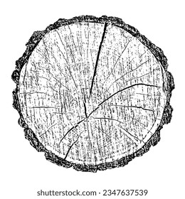 Wood texture cross section of tree rings. Cut slice of wooden stump isolated on white. Textured surface with rings and cracks. Black background made of hardwood from the forest. Vector illustration.