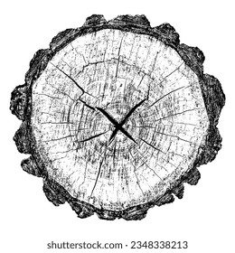 Wood texture cross section of tree rings. Cut slice of wooden stump isolated on white. Textured surface with rings and cracks. Black background made of hardwood from the forest. Vector illustration.