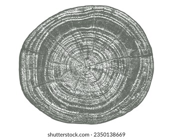 Wood texture cross section of tree rings. Cut slice of wooden stump isolated on white. Textured surface with rings and cracks. Black background made of hardwood from the forest. Vector illustration.