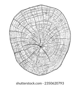 Textura de madera con problemas sobre fondo blanco. Los anillos de los árboles de sección transversal cortan la rebanada. Elementos de diseño de madera redonda. Ilustración del vector, EPS 10.