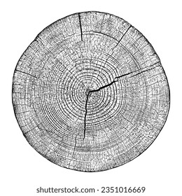 Wood texture cross section of tree rings. Cut slice of wooden stump isolated on white. Textured surface with rings and cracks. Black background made of hardwood from the forest. Vector illustration.