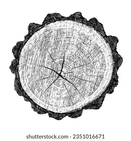Wood texture cross section of tree rings. Cut slice of wooden stump isolated on white. Textured surface with rings and cracks. Black background made of hardwood from the forest. Vector illustration.