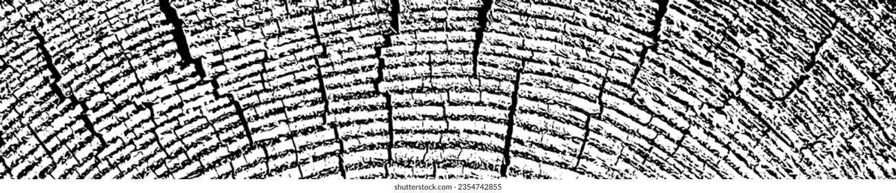 Wood texture cross section of tree rings. Cut slice of wooden stump isolated on white. Textured surface with rings and cracks. Black background made of hardwood from the forest. Vector illustration.
