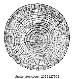 Wood texture cross section of tree rings. Cut slice of wooden stump isolated on white. Textured surface with rings and cracks. Black background made of hardwood from the forest. Vector illustration.