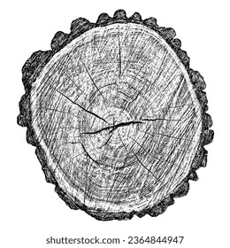 Geschälte Holzstruktur auf weißem Hintergrund. Schnittbaumringe schneiden Scheiben. Rundhölzernes Design. Vektorgrafik, EPS10.
