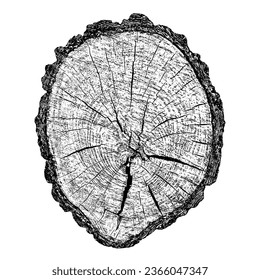 Textura de madera con problemas sobre fondo blanco. Los anillos de los árboles de sección transversal cortan la rebanada. Elementos de diseño de madera redonda. Ilustración del vector, EPS 10.
