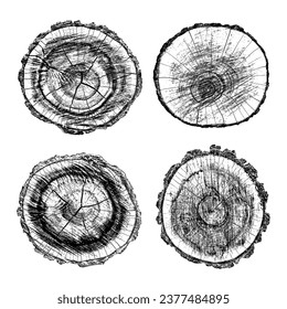 Wood texture cross section of tree rings. Cut slice of wooden stump isolated on white. Textured surface with rings and cracks. Black background made of hardwood from the forest. Vector illustration.